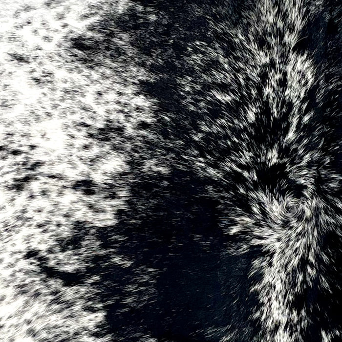 Closeup of this Cloudy Speckled Brazilian Cowhide, showing white with large and small, black spots and cloudy, black speckles (BRSP3548)