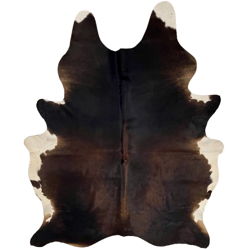 XL Brazilian Two Tone Brown Watusi Cowhide: has a mix of dark brown and golden brown, with golden brown down the spine, and white on the belly - 8'3" x 6' (BRWA079)