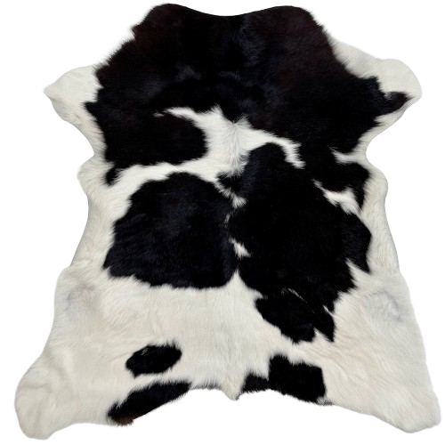 Black and White Calfskin:  white with large and small, black spots - 3' x 2'9" (CALF733)