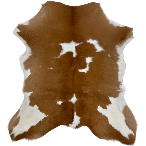 Brown and White Calfskin: brown with small, white spots, and white on part of the belly and shanks - 2'9" x 2'4" (CALF827)