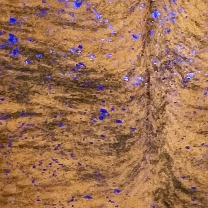 Closeup of this Large Colombian Brindle Cowhide, showing brown with black, brindle markings, and a metallic, blue acid wash (COAW522)