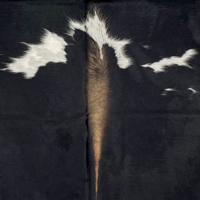 Closeup of this Large, Black and White, Colombian Cowhide, showing black, with brown down part of the spine, and white spots that have faint, cloudy, black spots (COBKW268)