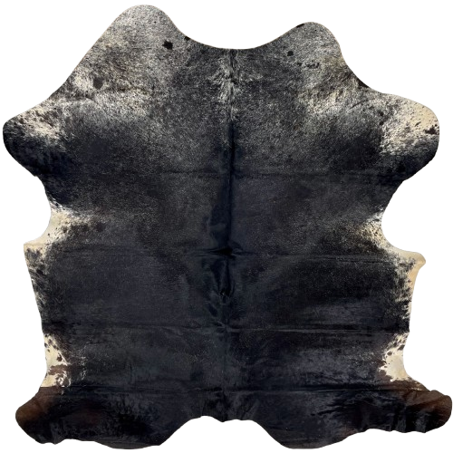 Black and White Speckled Colombian Cowhide: mostly solid black, and it has white speckles and spots on part of the shoulder, belly, and fore shanks, and dark brown on the hind shanks - 6'7" x 5'4" (COBKW278)