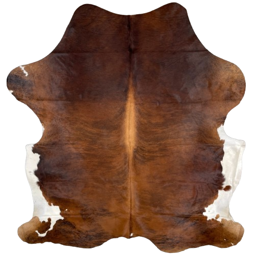 Large Reddish Brown and Black Colombian Brindle Cowhide: reddish brown with black, brindle markings, lighter brown down the spine, and white on the belly - 7'7" x 6'1" (COBR1396)