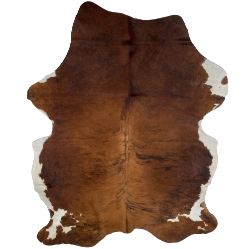 Colombian Tricolor Cowhide: has a brown and black, brindle pattern, with white on the belly, and white spots on the shanks - 7'3" x 5'1" (COTR1129)