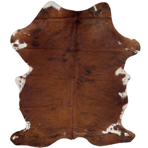 Colombian Tricolor Cowhide: reddish brown, with a some strips of black, and white, with reddish brown spots, on part of the belly and shanks - 6'8" x 4'8" (COTR1134)