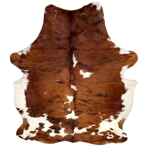 Large Tricolor Colombian Cowhide: reddish brown with black, brindle markings, a few white spots, and white on the belly - 7'7" x 5'7" (COTR1478)