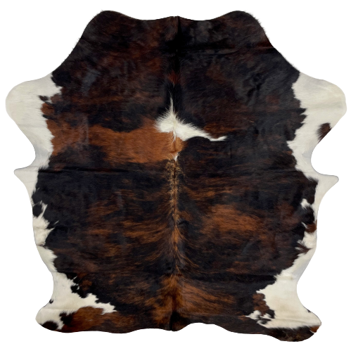 Colombian Tricolor Cowhide: has a black and reddish brown, brindle pattern, with a white spot in the middle of the shoulder, and white on the belly and shanks - 6'3" x 5'4" (COTR858)
