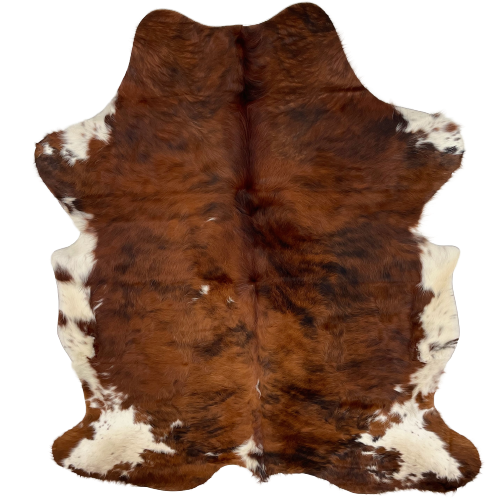 Colombian Tricolor Cowhide: has a mix of reddish brown and black, with a few small, white spots on the left side, and off-white with brown spots on the belly and shanks - 6'7" x 4'9" (COTR872)