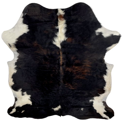 Colombian Dark Tricolor Cowhide: mostly black, with some dark brown mixed in, off-white on part of the spine, a couple white spots near the lower edge, and off-white on the belly and part of the shanks - 6'5" x 4'11" (COTR884)