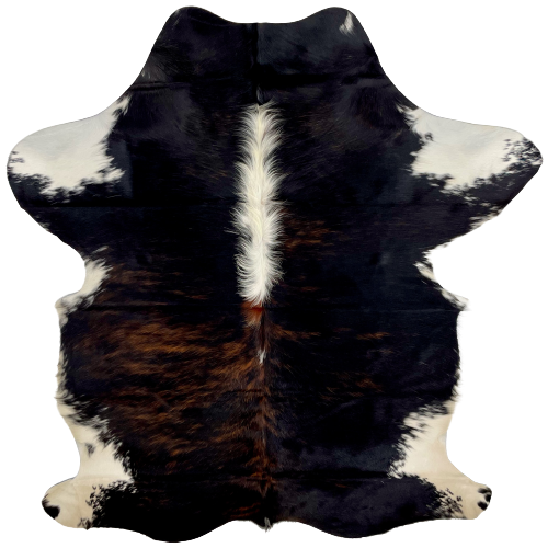 Colombian Dark Tricolor Cowhide: has a black and red brown, brindle pattern, long white hair down the middle of the shoulder, and white with black spots on the shanks and part of the belly - 6'11" x 4'7" (COTR904)