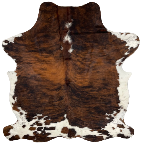 Colombian Tricolor Cowhide: has a reddish brown and black, brindle pattern, with a few small, white spots along the spine on the shoulder, and it has white with brown and black spots on the belly, shanks, and butt - 7'2" x 5'5" (COTR939)