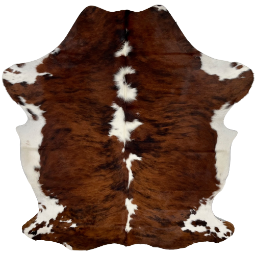 Colombian Tricolor Cowhide: has a reddish brown and black, brindle pattern, with white spots down the spine, and white with brown and black spots on the belly and shanks - 6'11" x 5'3" (COTR940)