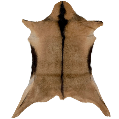 Brown and Blackish Brown Goatskin: brown with a blackish brown strip down the spine, and blackish brown on the belly - 2'11" x 2'4" (GOAT220)