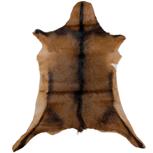 Brown and Blackish Brown Goatskin: brown with blackish brown speckles, and blackish brown, longer hair down the spine, and it has a blackish brown strip across the shoulder - 2'10" x 2'1" (GOAT270)