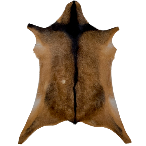 Reddish Brown and Blackish Brown Goatskin: reddish brown with blackish brown speckles, and blackish brown down the spine and a strip across the shoulder - 2'11" x 2'2" (GOAT296)
