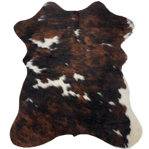 Tricolor Mini Cowhide: has a mix of black and brown, with a few white spots - 2'8" x 2'3" (MINI213)
