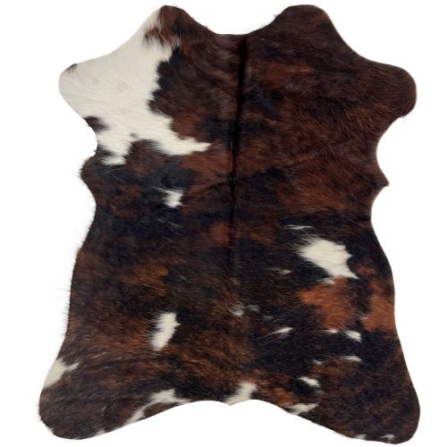 Tricolor Mini Cowhide: has a mix of reddish brown and black, with a few white spots, and white on the left fore shank - 2'8" x 2'3" (MINI227)
