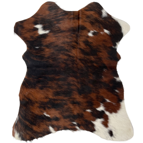 Tricolor Mini Cowhide: has a brown and black, brindle pattern, with a few small, white spots, and white on the two right shanks - 2'8" x 2'3" (MINI232)