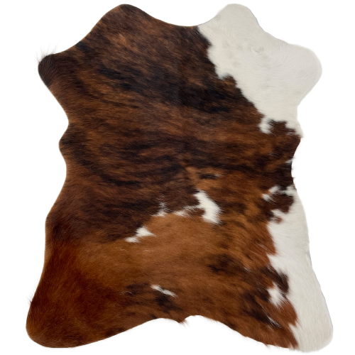 Tricolor Mini Cowhide: has a brown and black, brindle pattern, with a few small white spots, and white on the two right shanks - 2'8" x 2'3" (MINI236)