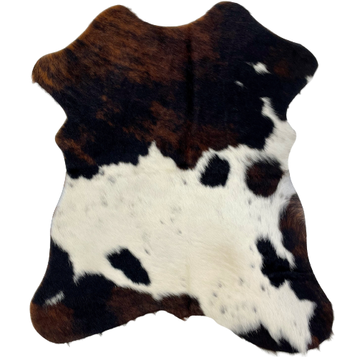 Tricolor Mini Cowhide: has a black and brown, brindle pattern across the shoulder and along the lower edge, and white with black speckles and spots on the lower half - 2'8" x 2'3" (MINI250)