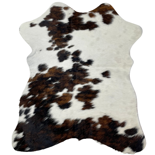 Tricolor Mini Cowhide: white, with faint speckles, and it has spots that are mix of black and brown - 2'8" x 2'3" (MINI251)