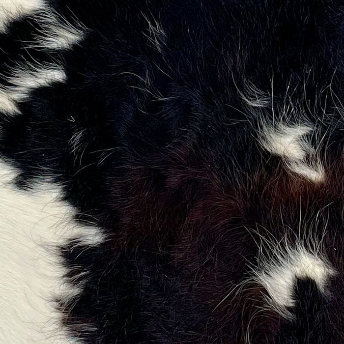 Closeup of this Dark Tricolor Mini Cowhide, showing a mix of black and dark brown, and a few small and large, white spots (MINI254)