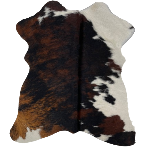 Tricolor Mini Cowhide: has a black and brown, brindle pattern, with white on the right part of the neck and the right fore shank, on part of the right side of the belly, and on part of both hind shanks - 2'8" x 2'3" (MINI259)