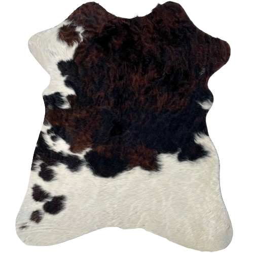 Tricolor Mini Cowhide: has curly hair that has a mix of black and dark brown, and it has white on the left fore shank and across the bottom part of the hide - 2'8" x 2'3" (MINI291)
