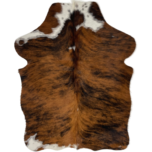XS Tricolor Cowhide: has a brown and black, brindle pattern, and white with black speckles on the neck, shoulder and left shanks - 4'5" x 3'3" (XS236)