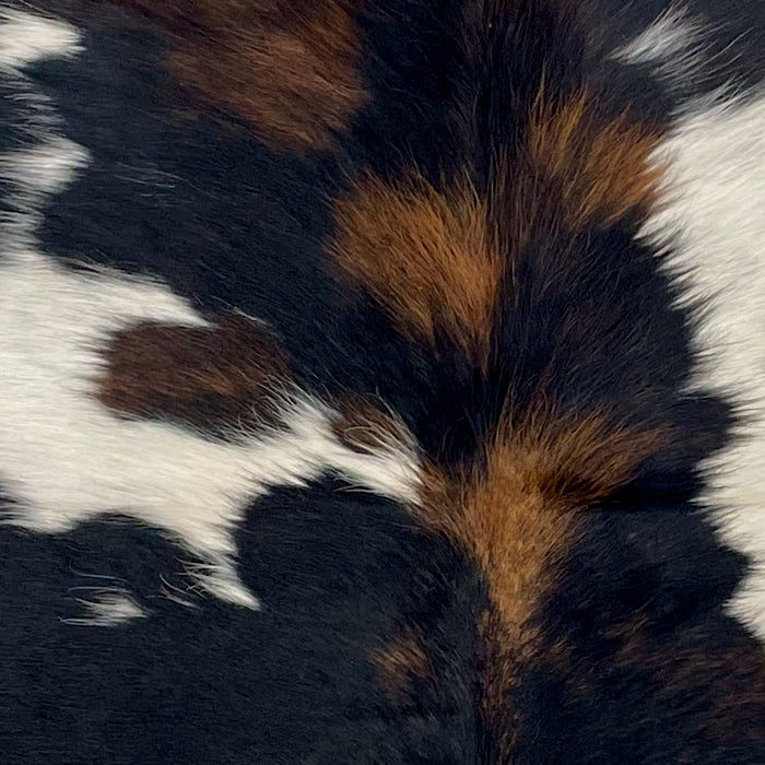 Closeup of this XS Tricolor Cowhide, showing a mix of black and brown, and a few small and large, white spots (XS585)