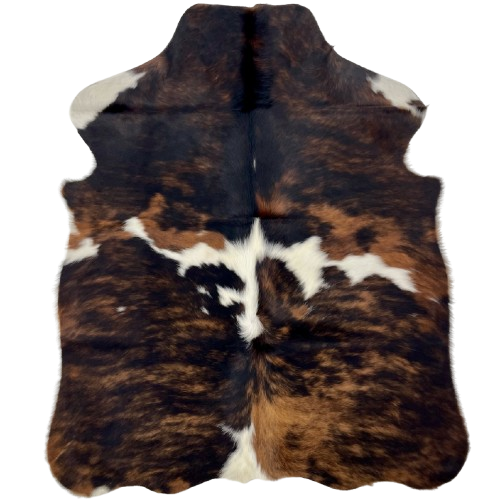 XS Tricolor Cowhide: has a brown and black, brindle pattern, and white spots across the middle and on the fore shanks - 4'4" x 3'5" (XS626)