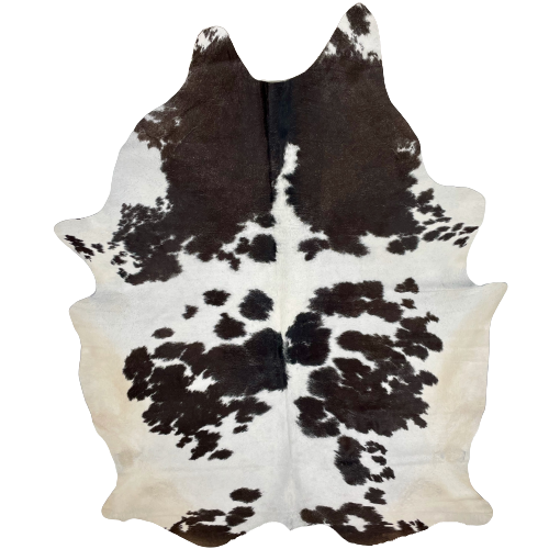 XXL Brownish Black and White Brazilian Cowhide: white with brownish black spots down the middle and on the fore shanks, and off-white on the belly and hind shanks - 8'8" x 6'1" (BRBKW223)