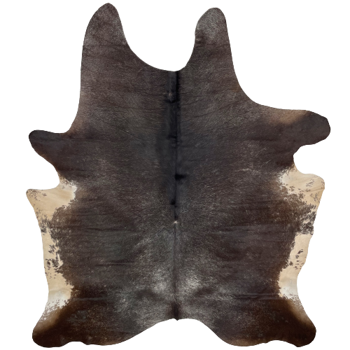 Large Dark Brown and White Speckled Brazilian Cowhide: dark brown with fine, white speckles, and cream with brown spots and speckles on the belly - 7'7" x 5'10" (BRSP1422)