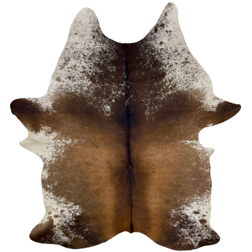 Large Two Tone Brown and White Speckled Brazilian Cowhide: chocolate down the middle, and lighter brown on both sides, white with chocolate speckles on the shoulder and belly - 7'9" x 5'4" (BRSP1558)