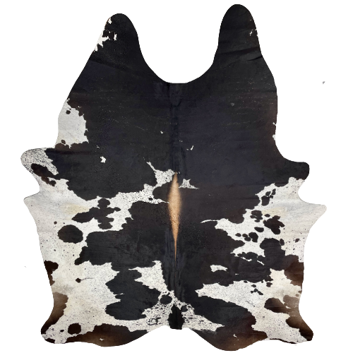 XXXL Black and White Speckled Brazilian Cowhide, 1 brand mark: white with black speckles, large black spots, brown spots along the lower edge, and light brown down part of the spine, one brand mark near the lower edge, on the left side - 9' x 6'11" (BRSP1593)