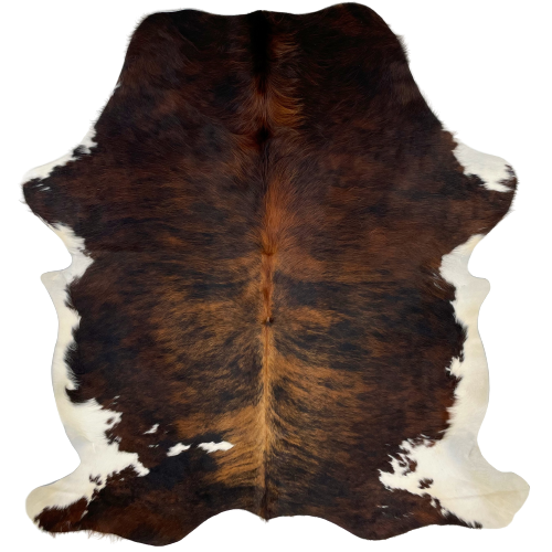 Colombian Black and Brown Brindle Cowhide, with off-white on the belly and hind shanks, and a few small, white spots on the lower, left side - 6'5" x 5' (COBR931)
