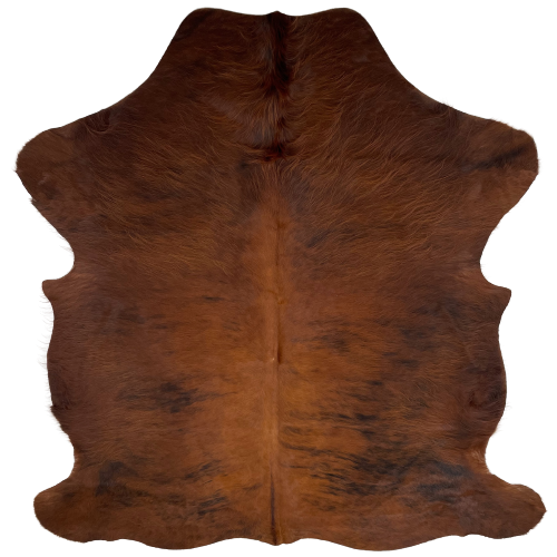 Small Reddish Brown and Black Colombian Brindle Cowhide: dark reddish brown, with a few black, brindle markings, and lighter reddish brown down the middle, and longer hair on the shoulder and belly - 5'10" x 4'5" (COBR947)