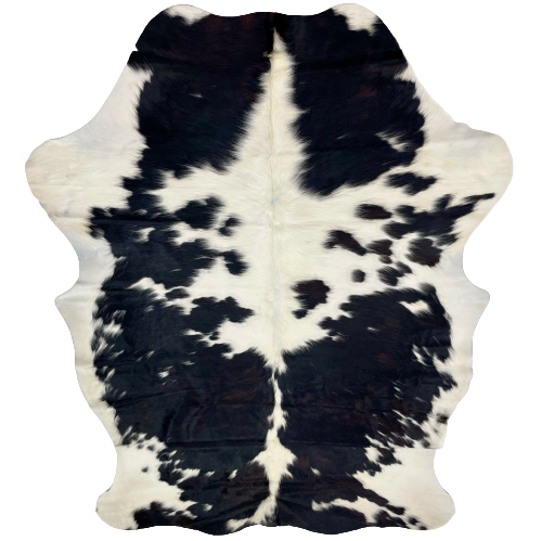 Large Colombian Tricolor Cowhide: appears to be white with black spots, but there is dark brown in some of the black spots - 7'6" x 5'7" (COTR528)