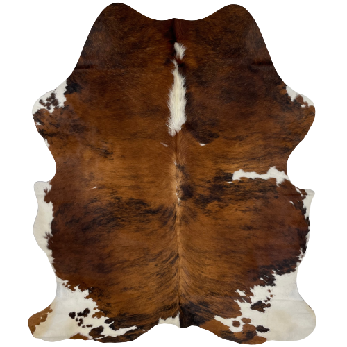 Colombian Tricolor Cowhide: has a brown and black, brindle pattern covering most of the hide, with off-white in the middle of the shoulder, a few smaller, white spots, and off-white on part of the belly and shanks - 6'5" x 4'8" (COTR751)