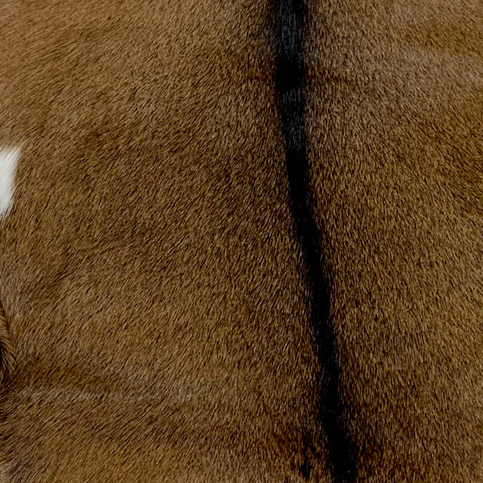 Brown and Black Goatskin (GOAT090)