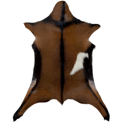 Brown Goatskin: brown with a white spot on the right side, and a black strip across the shoulder and down the spine, and black on the belly - 2'10" x 2'1" (GOAT170)