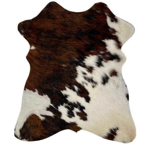 Tricolor Mini Cowhide: has a black and brown, brindle pattern covering half of the hide, and off-white with spots that have a mix of black and brown covering the rest of the hide - 2'8" x 2'3" (MINI190)