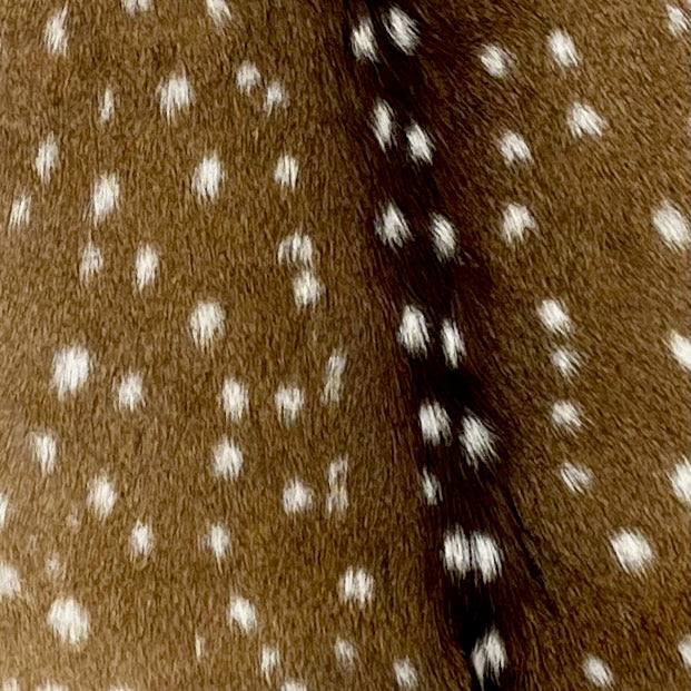 Closeup of this Large Authentic Axis Deer Hide, showing brown with white spots (AXIS029)