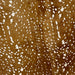Closeup of this Brazilian cowhide that has been stenciled a brown and white, axis deer print (BRAXISP032)