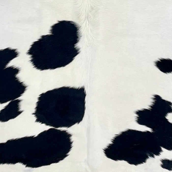 Closeup of this XL, Brazilian Cowhide, showing white with large and small, black spots (BRBKW255)