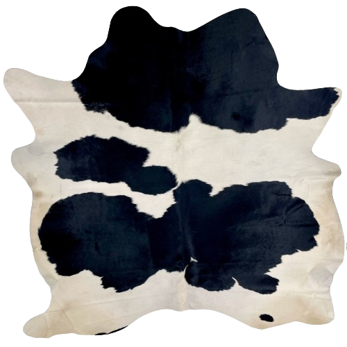 Black and White Brazilian Cowhide:  white with large, black spots, and it has off-white on the belly and hind shanks - 7'3" x 6'5" (BRBKW257)