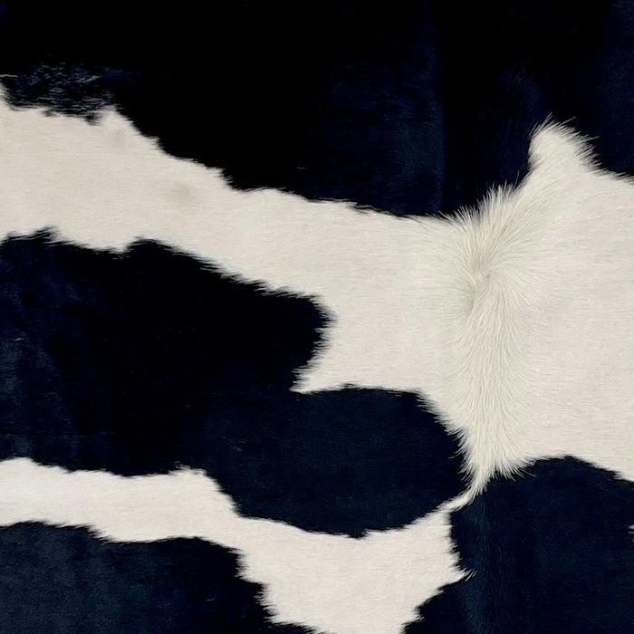 Closeup of this Brazilian Cowhide, showing white with large, black spots (BRBKW257)