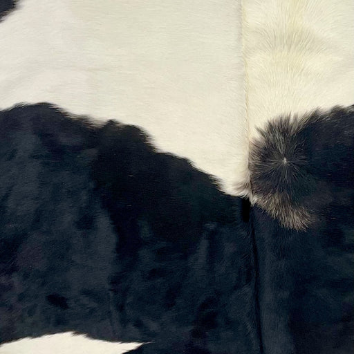 Closeup of this Brazilian Cowhide, showing white with large, black spots that have hints of blackish brown (BRBKW259)