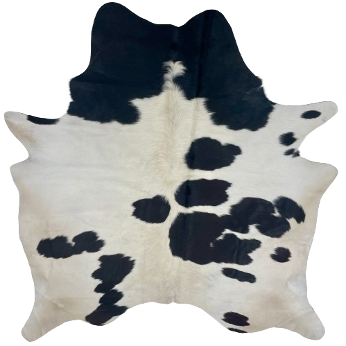 White and Black Brazilian Cowhide:  white with large and small, black spots that have hints of brown - 6'9" x 5'11" (BRBKW260)